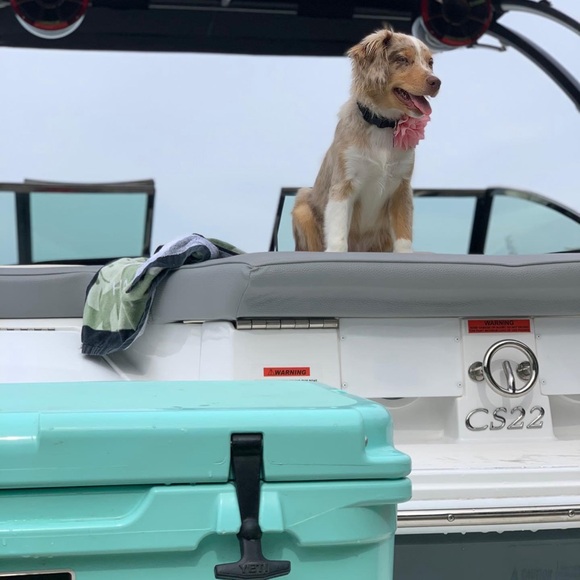 I’m Corinne! Thanks for stopping by to get to know me 😁 - Picture 12 of 14